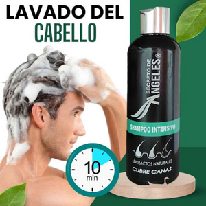 SHAMPOO CUBRE CANAS SECRETO DE ANGELES