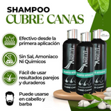 SHAMPOO CUBRE CANAS SECRETO DE ANGELES