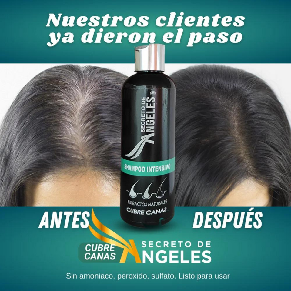 SHAMPOO CUBRE CANAS SECRETO DE ANGELES