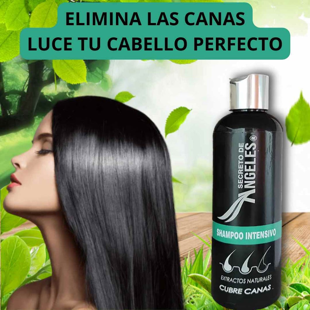 SHAMPOO CUBRE CANAS SECRETO DE ANGELES